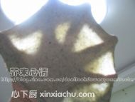 ʽļҳ2ͼƬ xinxiachu.com