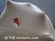 ˾ļҳ2ͼƬ xinxiachu.com