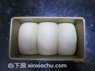 ˾ļҳ8ͼƬ xinxiachu.com