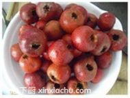 ˮɽ髵ļҳ4ͼƬ xinxiachu.com