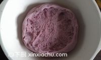 ͷļҳ4ͼƬ xinxiachu.com