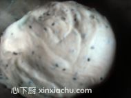 ȫ֥黨ʽļҳ4ͼƬ xinxiachu.com