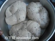 ȫ֥黨ʽļҳ15ͼƬ xinxiachu.com