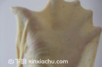 ζļҳ4ͼƬ xinxiachu.com