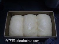 ˾ļҳ13ͼƬ xinxiachu.com