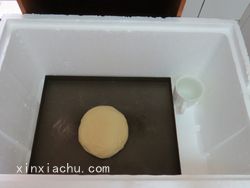 OREO˾ļҳ3ͼƬ xinxiachu.com